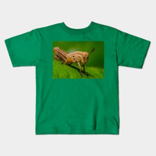 Young Grasshopper Photograph Kids T-Shirt